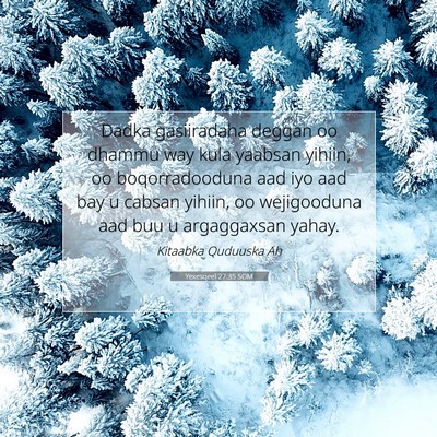 Picture 07 - Yexesqeel 27:35 SOM - Dadka gasiiradaha deggan oo dhammu way kula - Bible Verse Picture