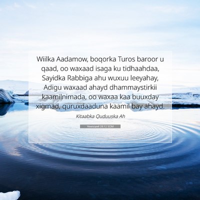 Picture 07 - Yexesqeel 28:12 SOM - Wiilka Aadamow, boqorka Turos baroor u qaad, oo - Bible Verse Picture