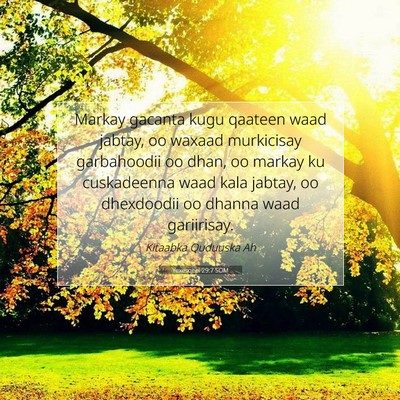 Picture 07 - Yexesqeel 29:7 SOM - Markay gacanta kugu qaateen waad jabtay, oo - Bible Verse Picture
