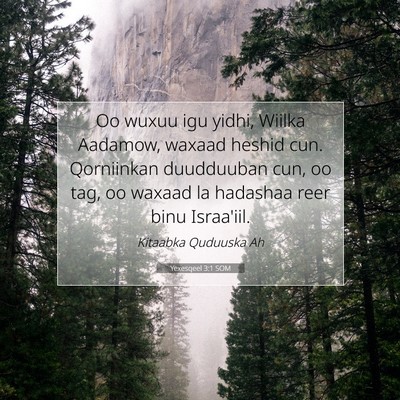 Picture 07 - Yexesqeel 3:1 SOM - Oo wuxuu igu yidhi, Wiilka Aadamow, waxaad heshid - Bible Verse Picture