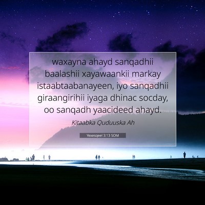 Picture 07 - Yexesqeel 3:13 SOM - waxayna ahayd sanqadhii baalashii xayawaankii - Bible Verse Picture