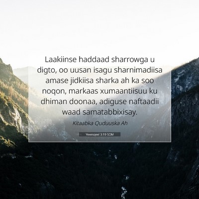 Picture 07 - Yexesqeel 3:19 SOM - Laakiinse haddaad sharrowga u digto, oo uusan - Bible Verse Picture