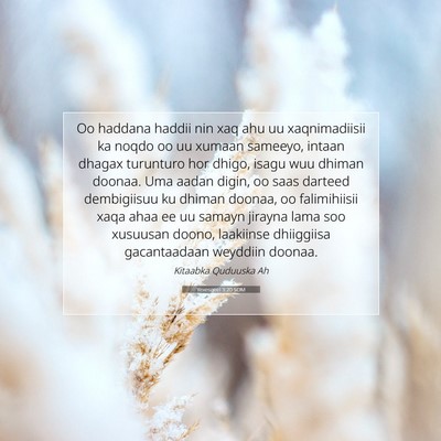 Picture 07 - Yexesqeel 3:20 SOM - Oo haddana haddii nin xaq ahu uu xaqnimadiisii ka - Bible Verse Picture