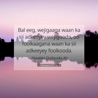 Picture 07 - Yexesqeel 3:8 SOM - Bal eeg, wejigaaga waan ka sii adkeeyey - Bible Verse Picture