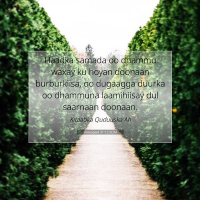 Picture 07 - Yexesqeel 31:13 SOM - Haadka samada oo dhammu waxay ku hoyan doonaan - Bible Verse Picture
