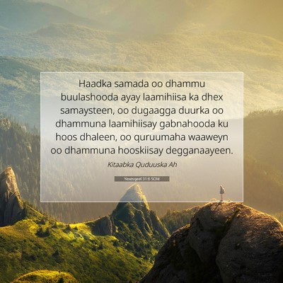 Picture 07 - Yexesqeel 31:6 SOM - Haadka samada oo dhammu buulashooda ayay - Bible Verse Picture