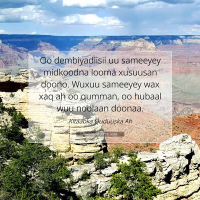 Picture 07 - Yexesqeel 33:16 SOM - Oo dembiyadiisii uu sameeyey midkoodna looma - Bible Verse Picture