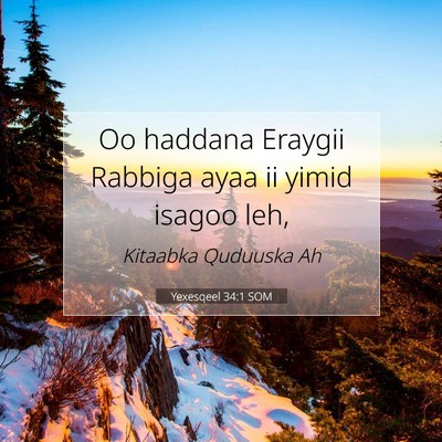 Picture 07 - Yexesqeel 34:1 SOM - Oo haddana Eraygii Rabbiga ayaa ii yimid isagoo - Bible Verse Picture