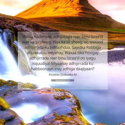 Picture 07 - Yexesqeel 34:2 SOM - Wiilka Aadamow, adhijirrada reer binu Israa'iil - Bible Verse Picture