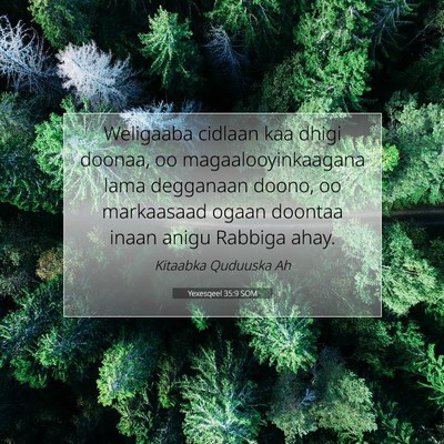 Picture 07 - Yexesqeel 35:9 SOM - Weligaaba cidlaan kaa dhigi doonaa, oo - Bible Verse Picture