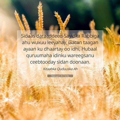 Picture 07 - Yexesqeel 36:7 SOM - Sidaas daraaddeed Sayidka Rabbiga ahu wuxuu - Bible Verse Picture