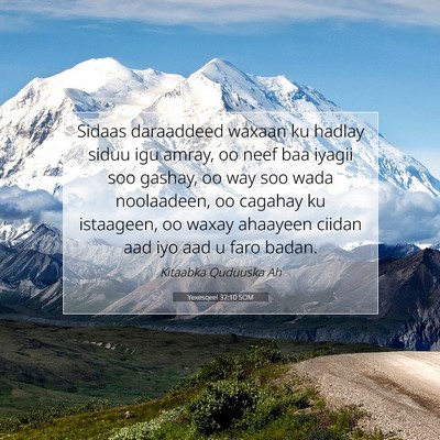 Picture 07 - Yexesqeel 37:10 SOM - Sidaas daraaddeed waxaan ku hadlay siduu igu - Bible Verse Picture