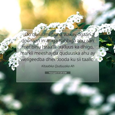 Picture 07 - Yexesqeel 37:28 SOM - Oo quruumuhuna waxay ogaan doonaan in aniga - Bible Verse Picture