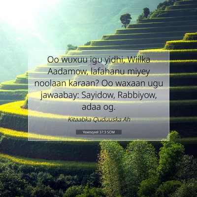 Picture 07 - Yexesqeel 37:3 SOM - Oo wuxuu igu yidhi, Wiilka Aadamow, lafahanu - Bible Verse Picture