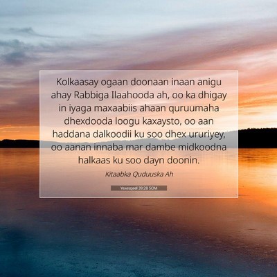 Picture 07 - Yexesqeel 39:28 SOM - Kolkaasay ogaan doonaan inaan anigu ahay Rabbiga - Bible Verse Picture