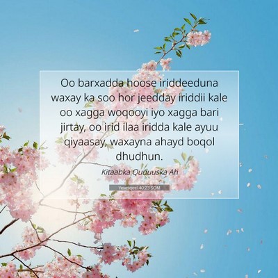 Picture 07 - Yexesqeel 40:23 SOM - Oo barxadda hoose iriddeeduna waxay ka soo hor - Bible Verse Picture