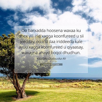 Picture 07 - Yexesqeel 40:27 SOM - Oo barxadda hoosena waxaa ku dhex yiil irid xagga - Bible Verse Picture