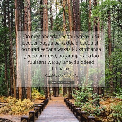 Picture 07 - Yexesqeel 40:31 SOM - Oo meelaheeda dedanu waxay u sii jeedeen xagga - Bible Verse Picture