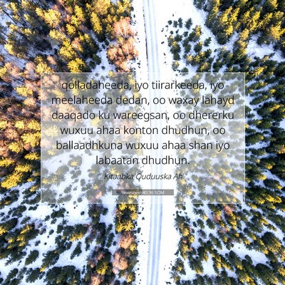 Picture 07 - Yexesqeel 40:36 SOM - qolladaheeda, iyo tiirarkeeda, iyo meelaheeda - Bible Verse Picture