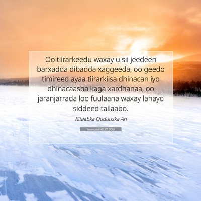 Picture 07 - Yexesqeel 40:37 SOM - Oo tiirarkeedu waxay u sii jeedeen barxadda - Bible Verse Picture