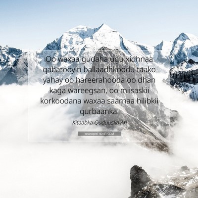 Picture 07 - Yexesqeel 40:43 SOM - Oo waxaa gudaha ugu xidhnaa qabatooyin - Bible Verse Picture