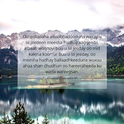 Picture 07 - Yexesqeel 41:11 SOM - Oo qolladaha albaabbadooduna waxay u sii jeedeen - Bible Verse Picture