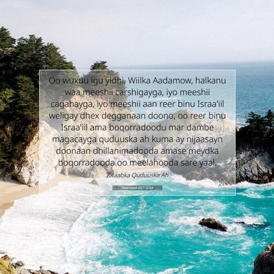 Picture 07 - Yexesqeel 43:7 SOM - Oo wuxuu igu yidhi, Wiilka Aadamow, halkanu waa - Bible Verse Picture