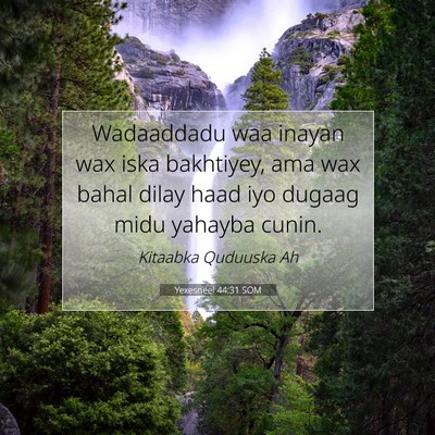 Picture 07 - Yexesqeel 44:31 SOM - Wadaaddadu waa inayan wax iska bakhtiyey, ama wax - Bible Verse Picture