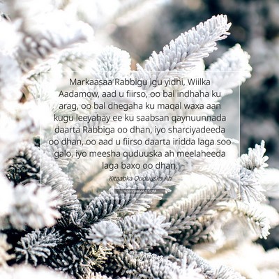 Picture 07 - Yexesqeel 44:5 SOM - Markaasaa Rabbigu igu yidhi, Wiilka Aadamow, aad - Bible Verse Picture
