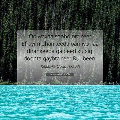 Picture 07 - Yexesqeel 48:6 SOM - Oo waxaa soohdinta reer Efrayim dhankeeda bari - Bible Verse Picture