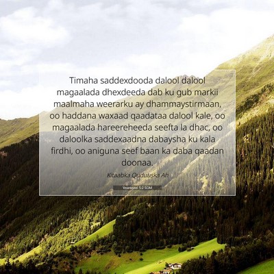 Picture 07 - Yexesqeel 5:2 SOM - Timaha saddexdooda dalool dalool magaalada - Bible Verse Picture