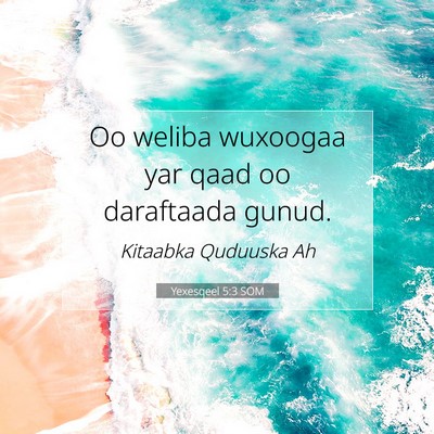 Picture 07 - Yexesqeel 5:3 SOM - Oo weliba wuxoogaa yar qaad oo daraftaada - Bible Verse Picture