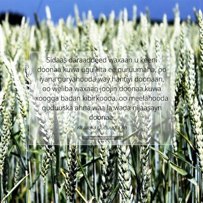 Picture 07 - Yexesqeel 7:24 SOM - Sidaas daraaddeed waxaan u keeni doonaa kuwa ugu - Bible Verse Picture