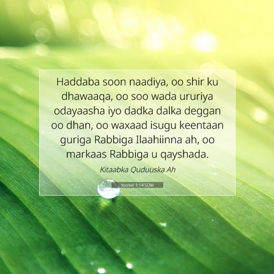 Picture 07 - Yoo'eel 1:14 SOM - Haddaba soon naadiya, oo shir ku dhawaaqa, oo soo - Bible Verse Picture