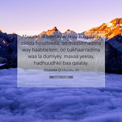 Picture 07 - Yoo'eel 1:17 SOM - Abuurkii la beeray wuxuu ku qalalay ciidda - Bible Verse Picture
