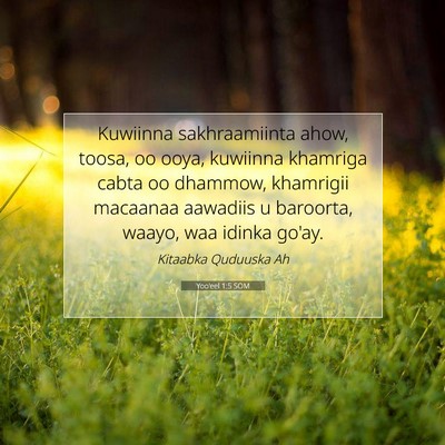 Picture 07 - Yoo'eel 1:5 SOM - Kuwiinna sakhraamiinta ahow, toosa, oo ooya, - Bible Verse Picture