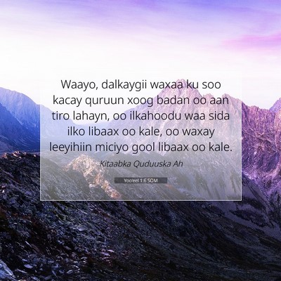 Picture 07 - Yoo'eel 1:6 SOM - Waayo, dalkaygii waxaa ku soo kacay quruun xoog - Bible Verse Picture