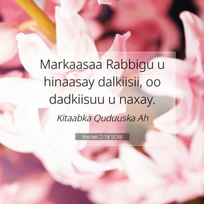 Picture 07 - Yoo'eel 2:18 SOM - Markaasaa Rabbigu u hinaasay dalkiisii, oo - Bible Verse Picture