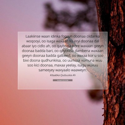 Picture 07 - Yoo'eel 2:20 SOM - Laakiinse waan idinka fogayn doonaa ciidanka - Bible Verse Picture