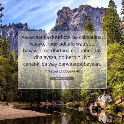 Picture 07 - Yoo'eel 2:22 SOM - Xayawaanka duurkow, ha cabsanina, waayo, naqii - Bible Verse Picture