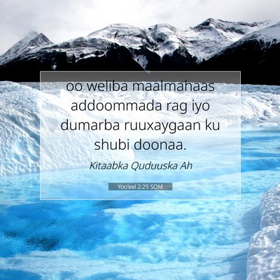 Picture 07 - Yoo'eel 2:29 SOM - oo weliba maalmahaas addoommada rag iyo dumarba - Bible Verse Picture