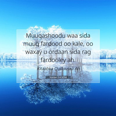 Picture 07 - Yoo'eel 2:4 SOM - Muuqashoodu waa sida muuq fardood oo kale, oo - Bible Verse Picture