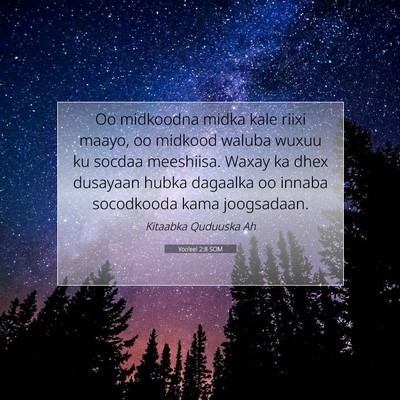 Picture 07 - Yoo'eel 2:8 SOM - Oo midkoodna midka kale riixi maayo, oo midkood - Bible Verse Picture