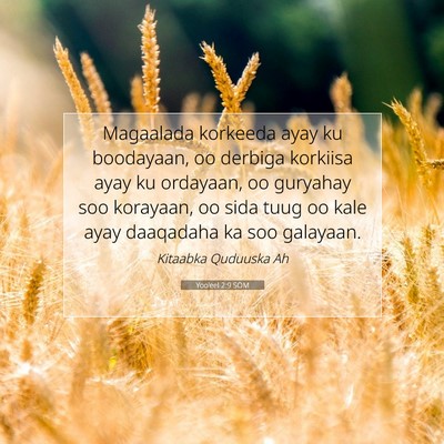 Picture 07 - Yoo'eel 2:9 SOM - Magaalada korkeeda ayay ku boodayaan, oo derbiga - Bible Verse Picture