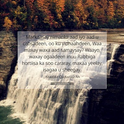 Picture 07 - Yoonis 1:10 SOM - Markaasay nimankii aad iyo aad u cabsadeen, oo ku - Bible Verse Picture