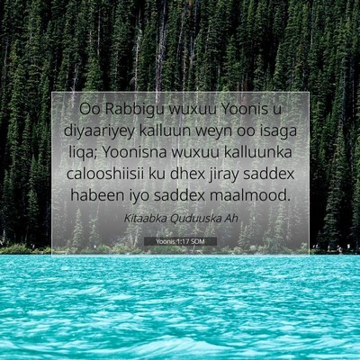 Picture 07 - Yoonis 1:17 SOM - Oo Rabbigu wuxuu Yoonis u diyaariyey kalluun weyn - Bible Verse Picture