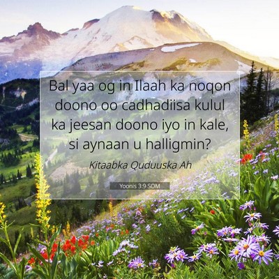 Picture 07 - Yoonis 3:9 SOM - Bal yaa og in Ilaah ka noqon doono oo cadhadiisa - Bible Verse Picture
