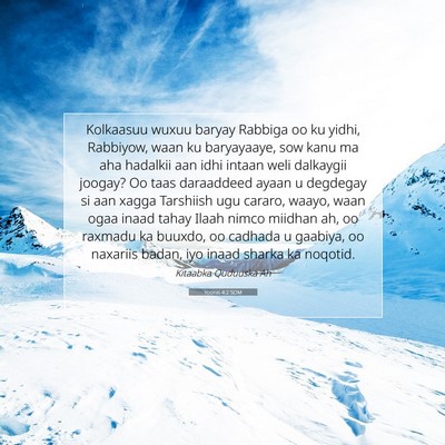 Picture 07 - Yoonis 4:2 SOM - Kolkaasuu wuxuu baryay Rabbiga oo ku yidhi, - Bible Verse Picture