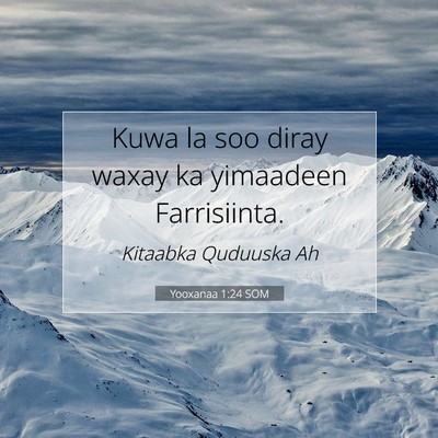 Picture 07 - Yooxanaa 1:24 SOM - Kuwa la soo diray waxay ka yimaadeen - Bible Verse Picture