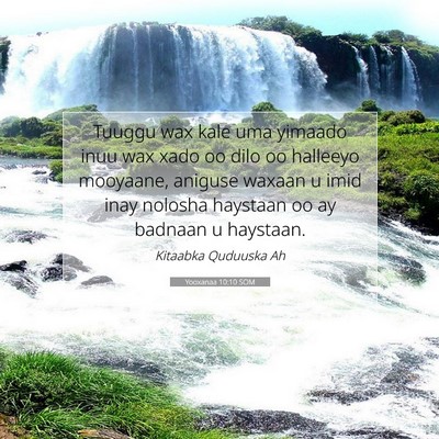Picture 07 - Yooxanaa 10:10 SOM - Tuuggu wax kale uma yimaado inuu wax xado oo dilo - Bible Verse Picture